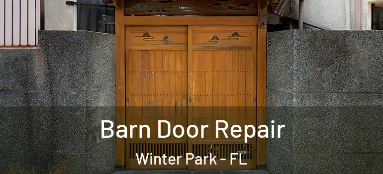 Barn Door Repair Winter Park - FL