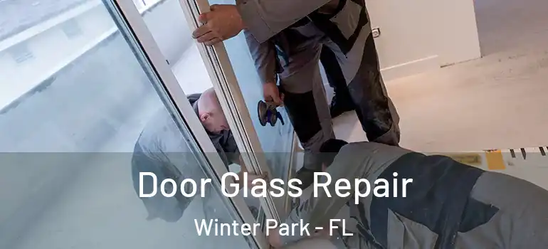Door Glass Repair Winter Park - FL