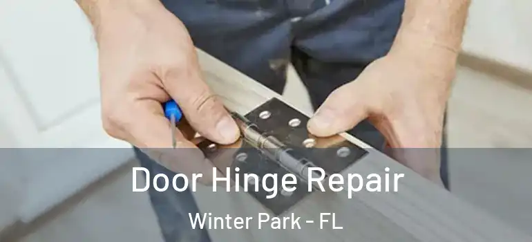 Door Hinge Repair Winter Park - FL