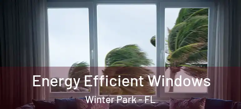 Energy Efficient Windows Winter Park - FL