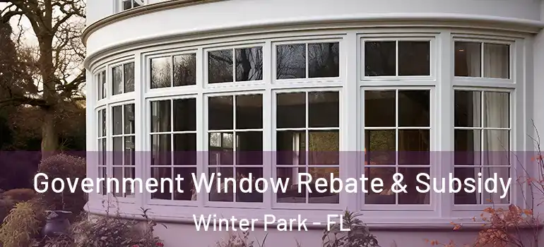Government Window Rebate & Subsidy Winter Park - FL
