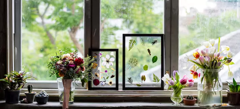 Professional Garden Window Repair in Winter Park, FL