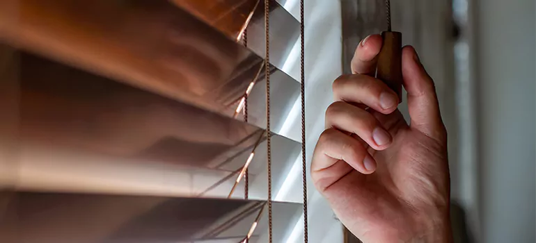 Double Roller Blinds in Winter Park, FL