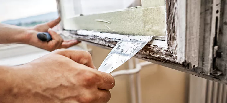 Exterior Window Frame Repair in Winter Park, FL