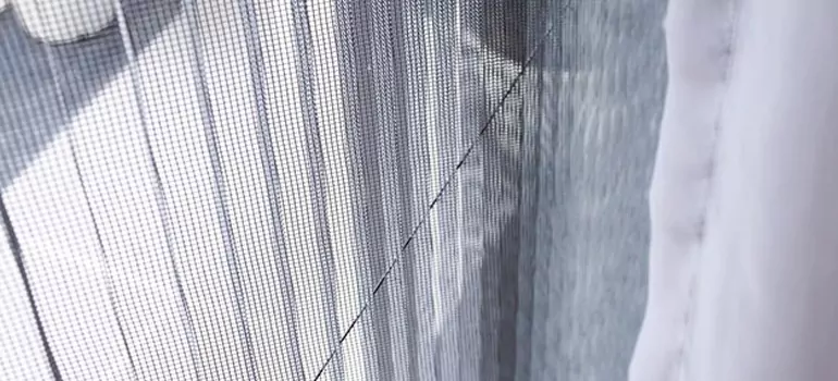Fixing Screen Window Mesh in Winter Park, FL