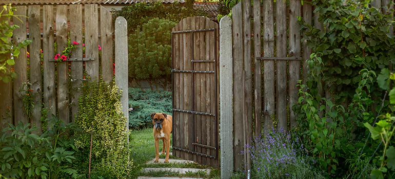 Winter Garden Garage Door Repair in Winter Park,[location field=state]