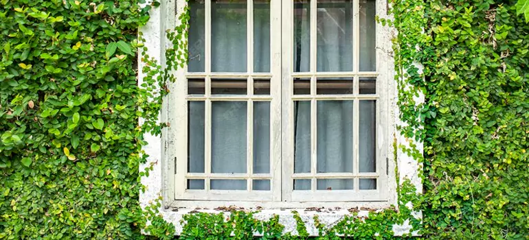 Garden Window Repair Near Me in Winter Park, FL
