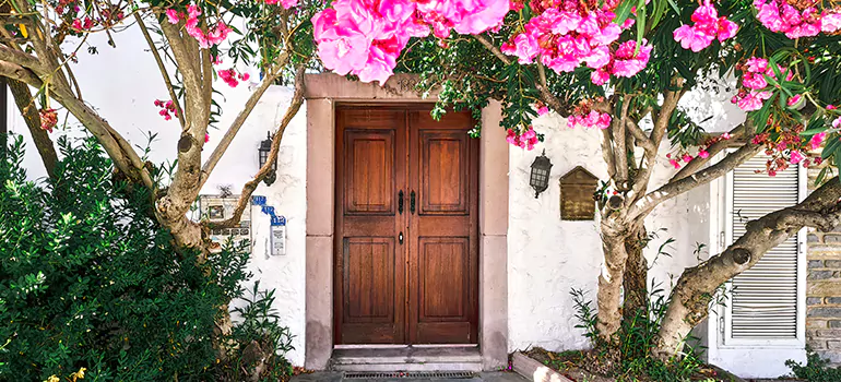 Traditional 4 Panel Internal Doors in Winter Park, FL