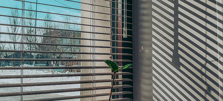 Commercial Window Blinds in Winter Park, FL