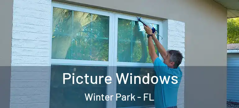 Picture Windows Winter Park - FL
