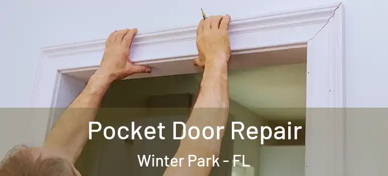 Pocket Door Repair Winter Park - FL