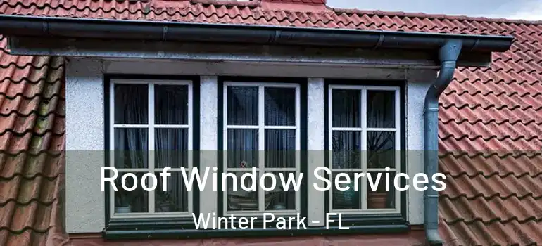 Roof Window Services Winter Park - FL