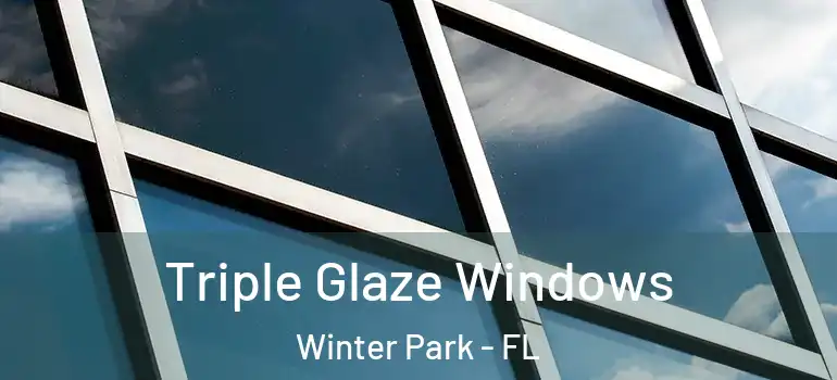 Triple Glaze Windows Winter Park - FL
