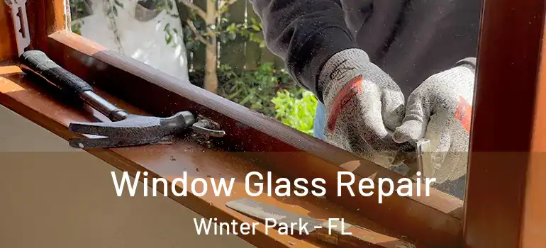 Window Glass Repair Winter Park - FL