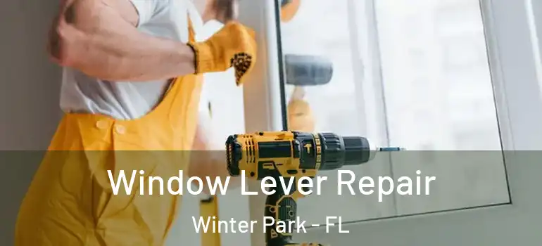 Window Lever Repair Winter Park - FL