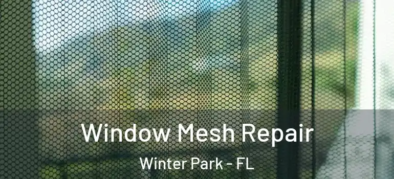 Window Mesh Repair Winter Park - FL