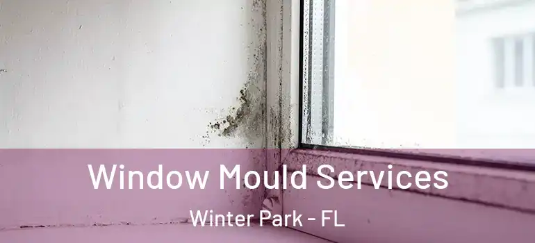 Window Mould Services Winter Park - FL