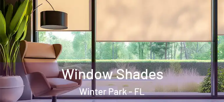 Window Shades Winter Park - FL